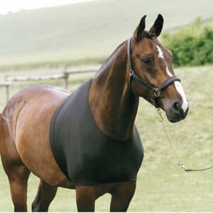 Undertrøje til hest