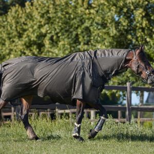 HorseGuard Maison Insekt/Regndækken - 155 CM