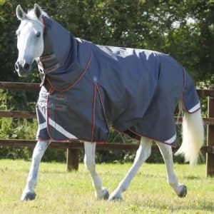 Premier Equine Buster 50g med aftagelig Snug-Fit hals - Grå - 6,3" (140cm)