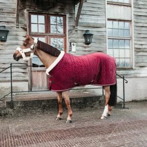 Kentucky - Stævne tæppe, show rug, Velour, Brodeaux - Bordeaux / 155cm