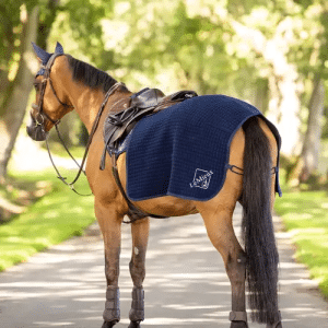 LeMieux Clima-Tek Quarter Sheet - Navy, Large