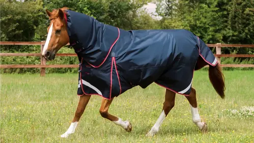 Premier Equine Buster 100g dækken - Snug-fit hals - 6,9" (155cm), Navy