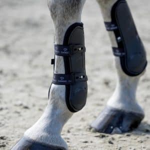 Catago Fir-Tech Performance JP Gamacher - Forben - STR S