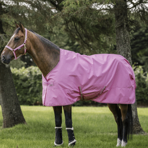 Bucas Freedom Pony Regndækken (Limited Edition) - 105 cm - AURORA PINK