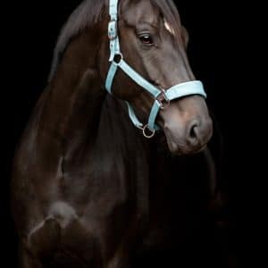 Catago - FIR TECH grime - Stone Blue - Stone Blue / Pony