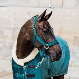 Kentucky - Stævne tæppe, Velour, 160g, Emerald - Emerald / 80cm