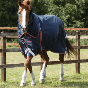 Premier Equine Buster 50g med aftagelig Snug-Fit hals - Navy