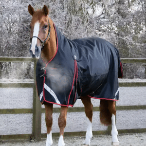 Premier Equine Buster Hardy 400g dækken - Sort