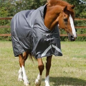 Premier Equine Buster Hardy Turnout dækken 0g - Wither Pressure Relief