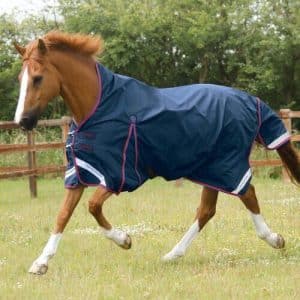 Premier Equine Buster Hardy Turnout dækken 0g - Wither Pressure Relief - 5,6" - 125cm, Navy