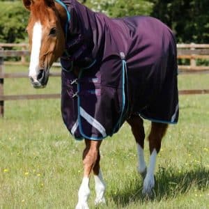 Premier Equine Buster Storm 100g dækken med hals - 7,3" - 170cm, Lilla