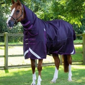 Premier Equine Buster Storm Combo 420g med sømløs hals - Lilla