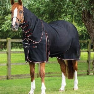 Premier Equine Ionair keramisk dækken