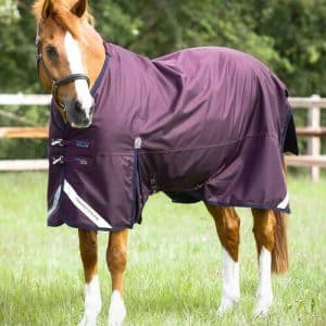 Premier Equine Titan 200 Original Turnout dækken - Lilla