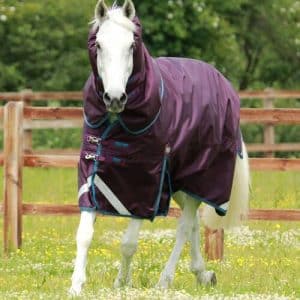 Premier Equine Titan 200g Turnout dækken med Snug-fit hals - Lilla