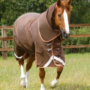 Premier Equine Titan 300g dækken - 7,3" - 170cm, Brun