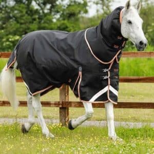 Premier Equine Titan 300g dækken - 7,3" - 170cm, Sort