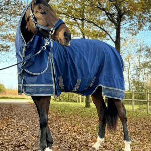 Cavalli - Regndækken 0 gram - Navy - 135