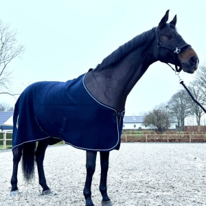 Cavalli Ulddækken -Navy - 125