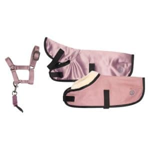 IRH Petit Toy dækken & grime sæt - Ballerina Pink