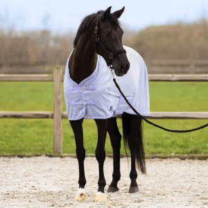 IRHReese insektdækken til pony
