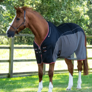 Premier Equine Sports Cooler