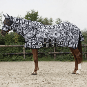 QHP Zebra Insektdækken - 135 CM