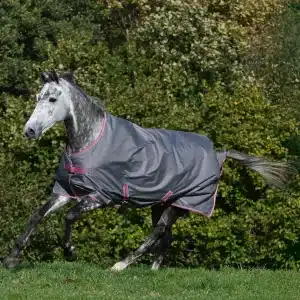 Bucas Freedom, 300 gram - Smoke Grey - 135 CM