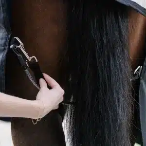 Horseware Elastiske Benstropper